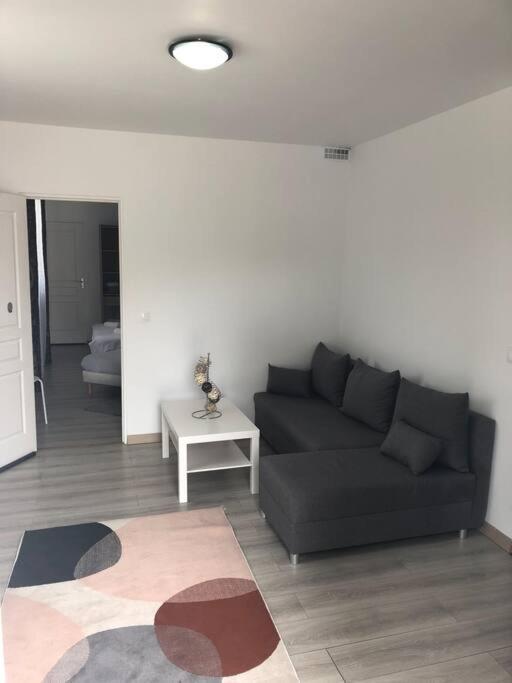 Top Appartement 10 Minutes De Disney Chessy  Εξωτερικό φωτογραφία